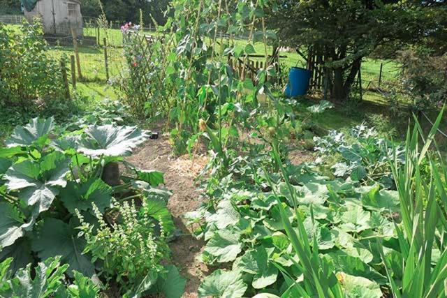 فيرفيرس B&B Ferme Du Petit Breuil المظهر الخارجي الصورة